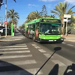 Geranios קוסטה דל סילנסיו